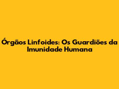 Órgãos Linfoides: Os Guardiões da Imunidade Humana