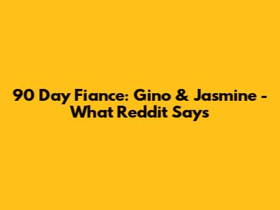 90 Day Fiance: Gino & Jasmine - What Reddit Says