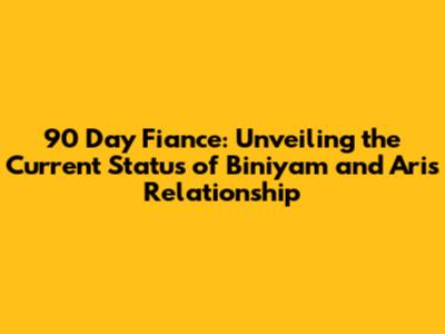 90 Day Fiance: Unveiling the Current Status of Biniyam and Ari's Relationship