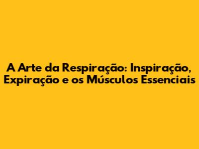 A Arte da Respiração: Inspiração, Expiração e os Músculos Essenciais