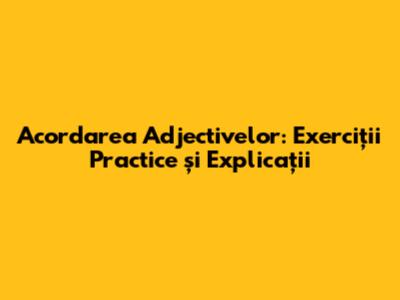 Acordarea Adjectivelor: Exerciții Practice și Explicații