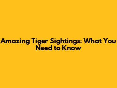 Amazing Tiger Sightings: What You Need to Know