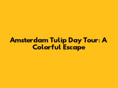 Amsterdam Tulip Day Tour: A Colorful Escape