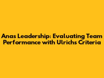 Ana's Leadership: Evaluating Team Performance with Ulrich's Criteria