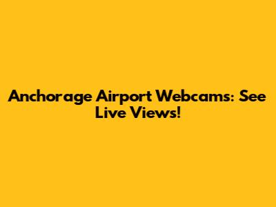 Anchorage Airport Webcams: See Live Views!