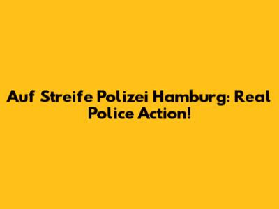 Auf Streife Polizei Hamburg: Real Police Action!