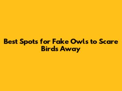 Best Spots for Fake Owls to Scare Birds Away
