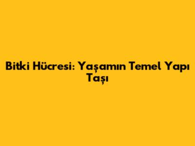 Bitki Hücresi: Yaşamın Temel Yapı Taşı