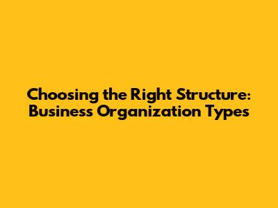 Choosing the Right Structure: Business Organization Types