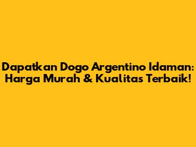 Dapatkan Dogo Argentino Idaman: Harga Murah & Kualitas Terbaik!