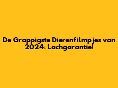 De Grappigste Dierenfilmpjes van 2024: Lachgarantie!
