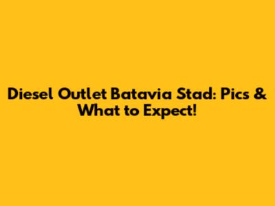 Diesel Outlet Batavia Stad: Pics & What to Expect!