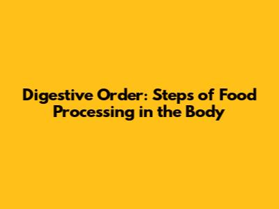 Digestive Order: Steps of Food Processing in the Body