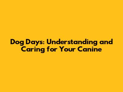 Dog Days: Understanding and Caring for Your Canine