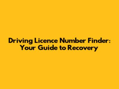Driving Licence Number Finder: Your Guide to Recovery
