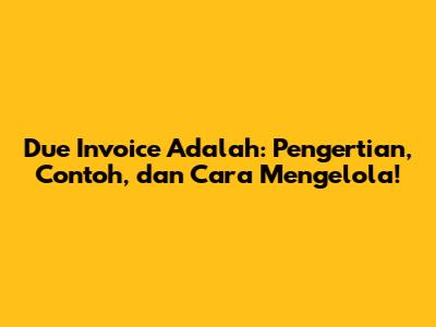 Due Invoice Adalah: Pengertian, Contoh, dan Cara Mengelola!