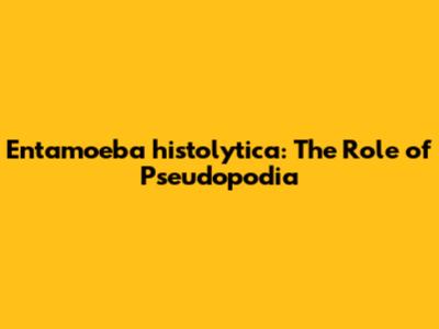 Entamoeba histolytica: The Role of Pseudopodia