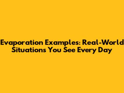 Evaporation Examples: Real-World Situations You See Every Day