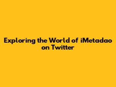 Exploring the World of iMetadao on Twitter