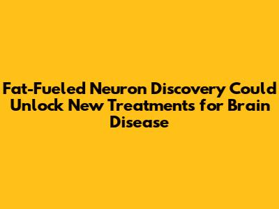 Fat-Fueled Neuron Discovery Could Unlock New Treatments for Brain Disease