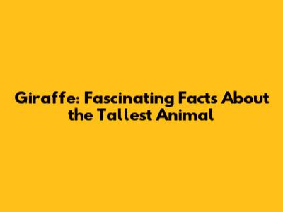 Giraffe: Fascinating Facts About the Tallest Animal
