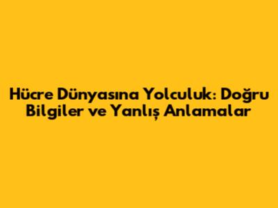 Hücre Dünyasına Yolculuk: Doğru Bilgiler ve Yanlış Anlamalar