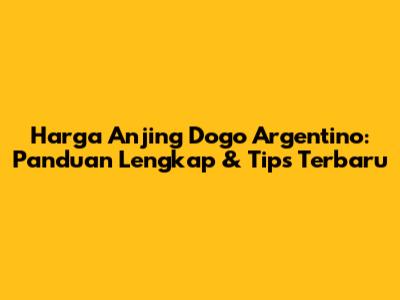 Harga Anjing Dogo Argentino: Panduan Lengkap & Tips Terbaru