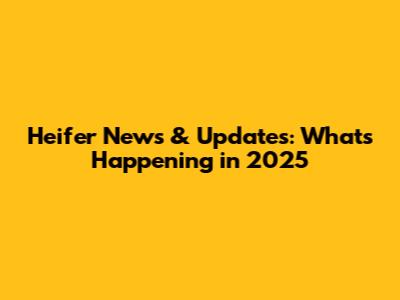Heifer News & Updates: What's Happening in 2025