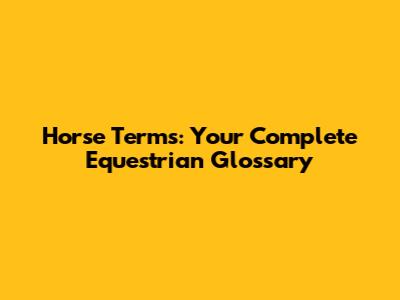 Horse Terms: Your Complete Equestrian Glossary