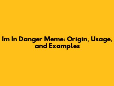 I'm In Danger Meme: Origin, Usage, and Examples