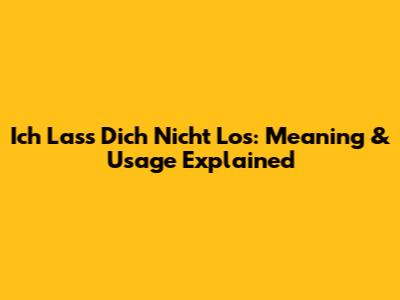 Ich Lass Dich Nicht Los: Meaning & Usage Explained