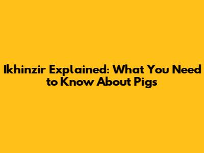 Ikhinzir Explained: What You Need to Know About Pigs