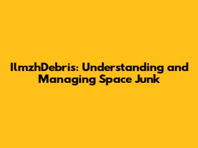 IlmzhDebris: Understanding and Managing Space Junk