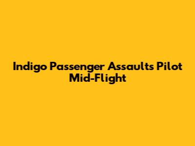 Indigo Passenger Assaults Pilot Mid-Flight