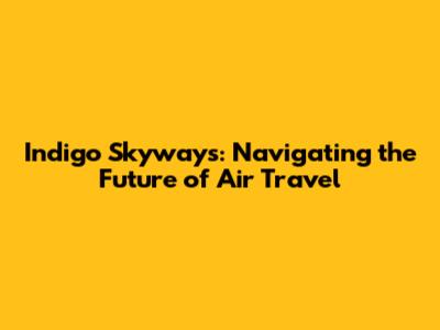 Indigo Skyways: Navigating the Future of Air Travel