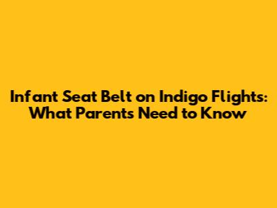 Infant Seat Belt on Indigo Flights: What Parents Need to Know