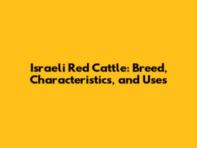 Israeli Red Cattle: Breed, Characteristics, and Uses