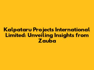 Kalpataru Projects International Limited: Unveiling Insights from Zauba