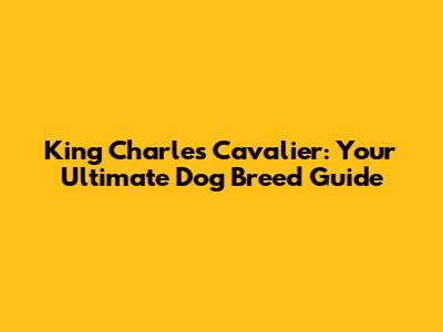 King Charles Cavalier: Your Ultimate Dog Breed Guide