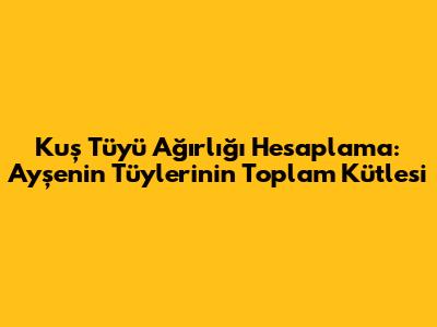 Kuş Tüyü Ağırlığı Hesaplama: Ayşe'nin Tüylerinin Toplam Kütlesi