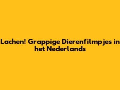 Lachen! Grappige Dierenfilmpjes in het Nederlands