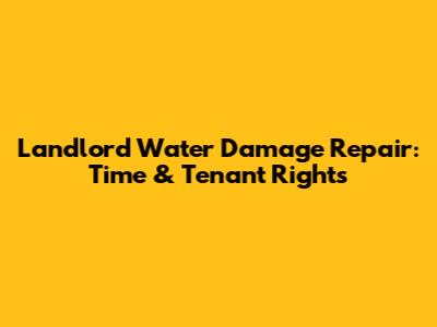 Landlord Water Damage Repair: Time & Tenant Rights