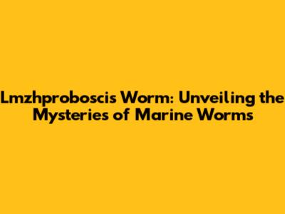 Lmzhproboscis Worm: Unveiling the Mysteries of Marine Worms