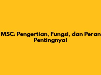 MSC: Pengertian, Fungsi, dan Peran Pentingnya!