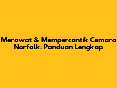 Merawat & Mempercantik Cemara Norfolk: Panduan Lengkap