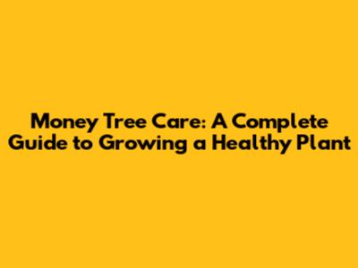 Money Tree Care: A Complete Guide to Growing a Healthy Plant