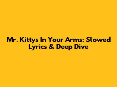 Mr. Kitty's 'In Your Arms': Slowed Lyrics & Deep Dive