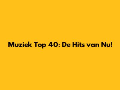Muziek Top 40: De Hits van Nu!