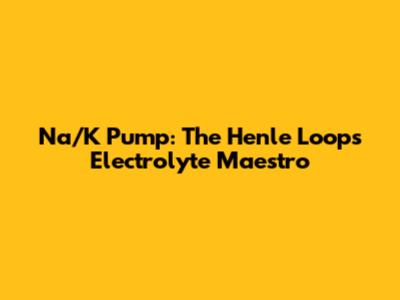 Na/K Pump: The Henle Loop's Electrolyte Maestro