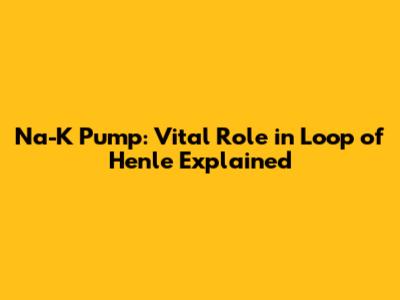 Na-K Pump: Vital Role in Loop of Henle Explained